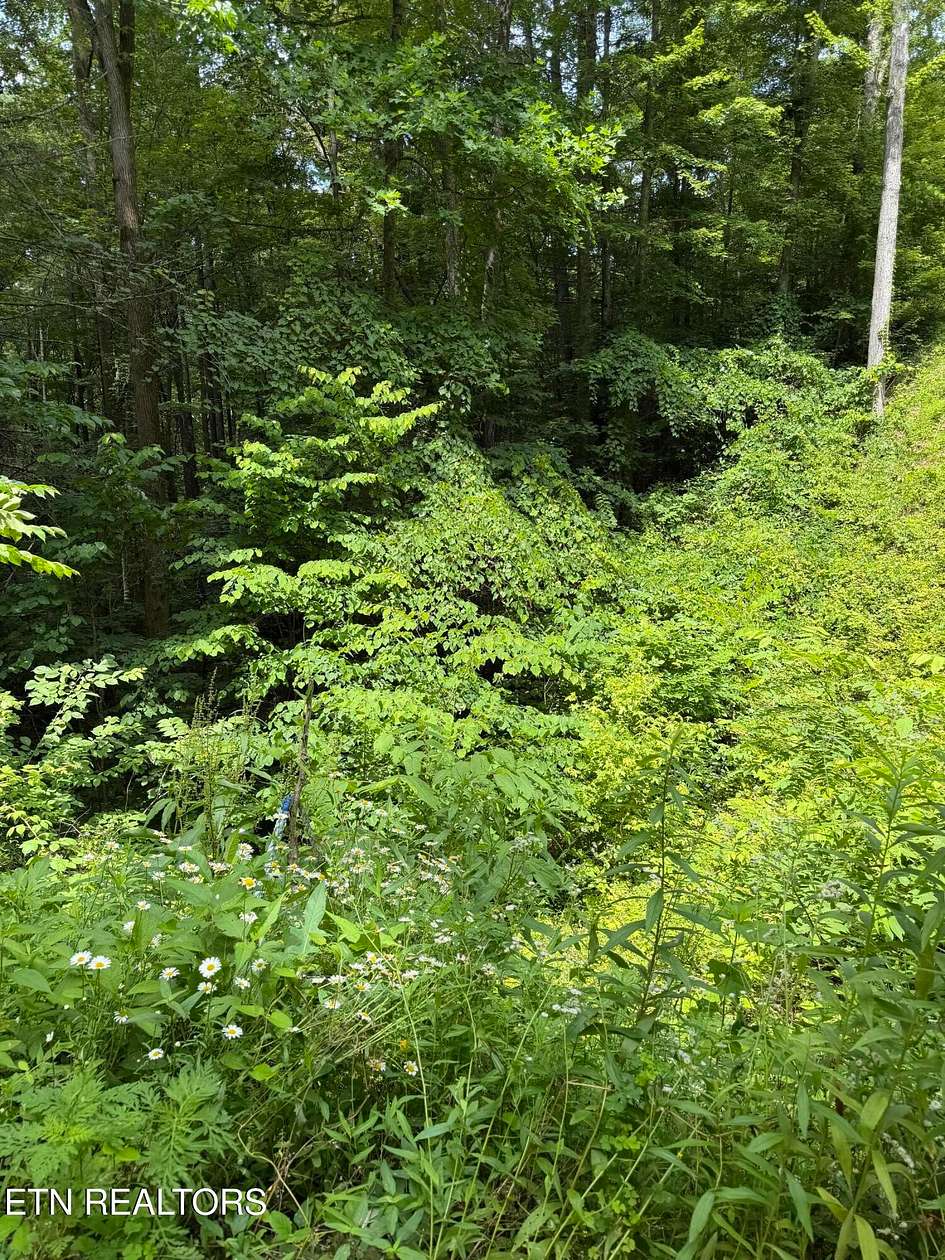 0.34 Acres of Residential Land for Sale in Sevierville, Tennessee