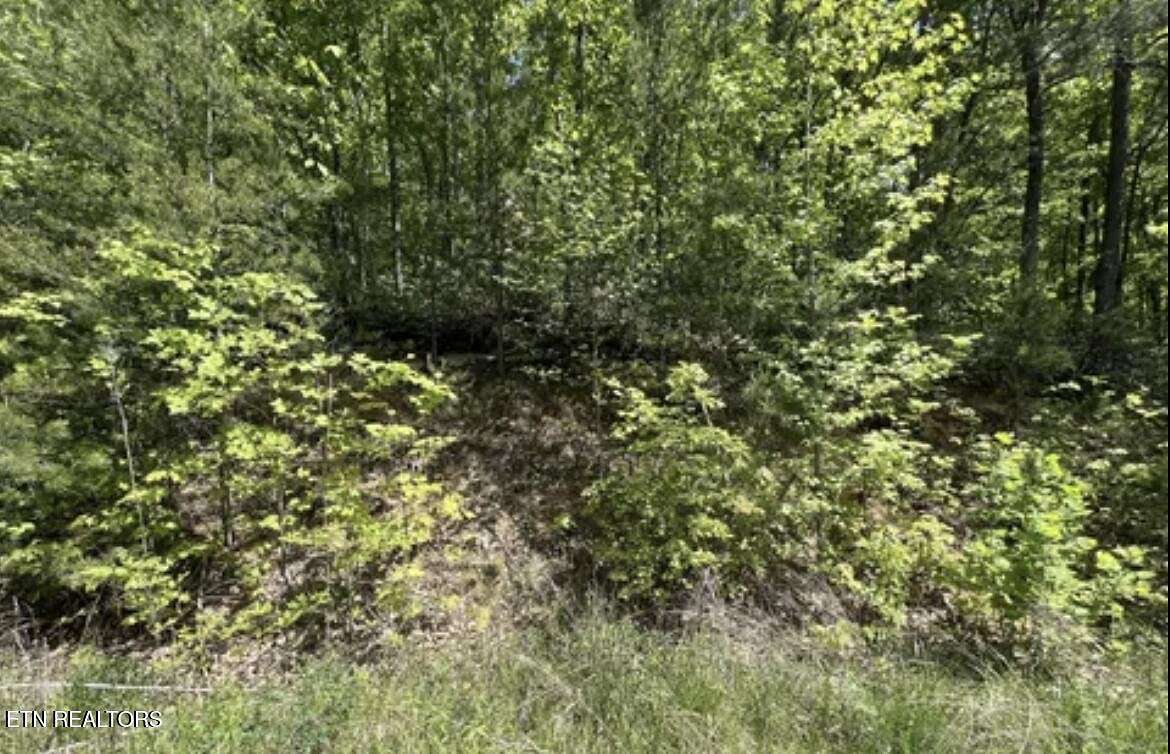 0.25 Acres of Residential Land for Sale in Sevierville, Tennessee