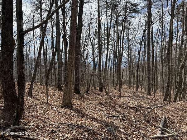 0.37 Acres of Residential Land for Sale in Sevierville, Tennessee