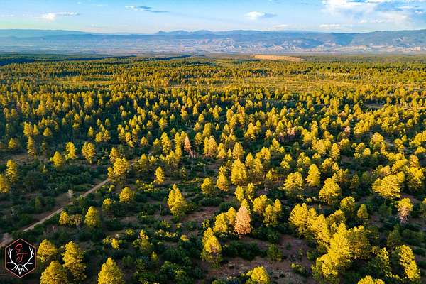 840 Acres of Recreational & Residential Land for Sale in Montrose, Colorado