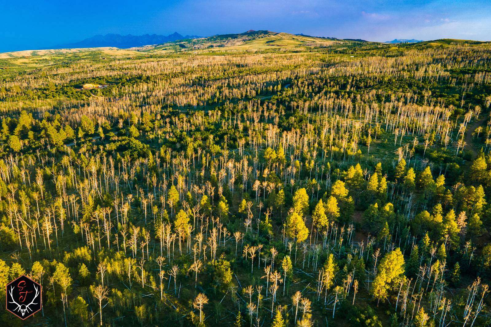 634 Acres of Recreational & Residential Land for Sale in Montrose, Colorado