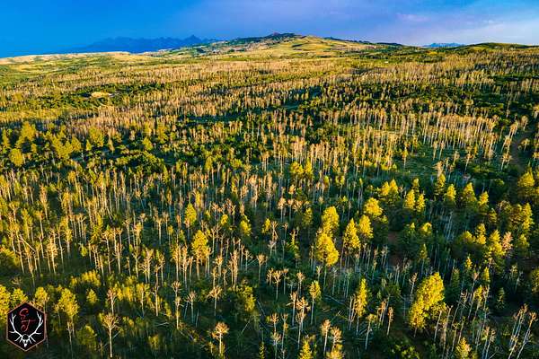 634 Acres of Recreational & Residential Land for Sale in Montrose, Colorado