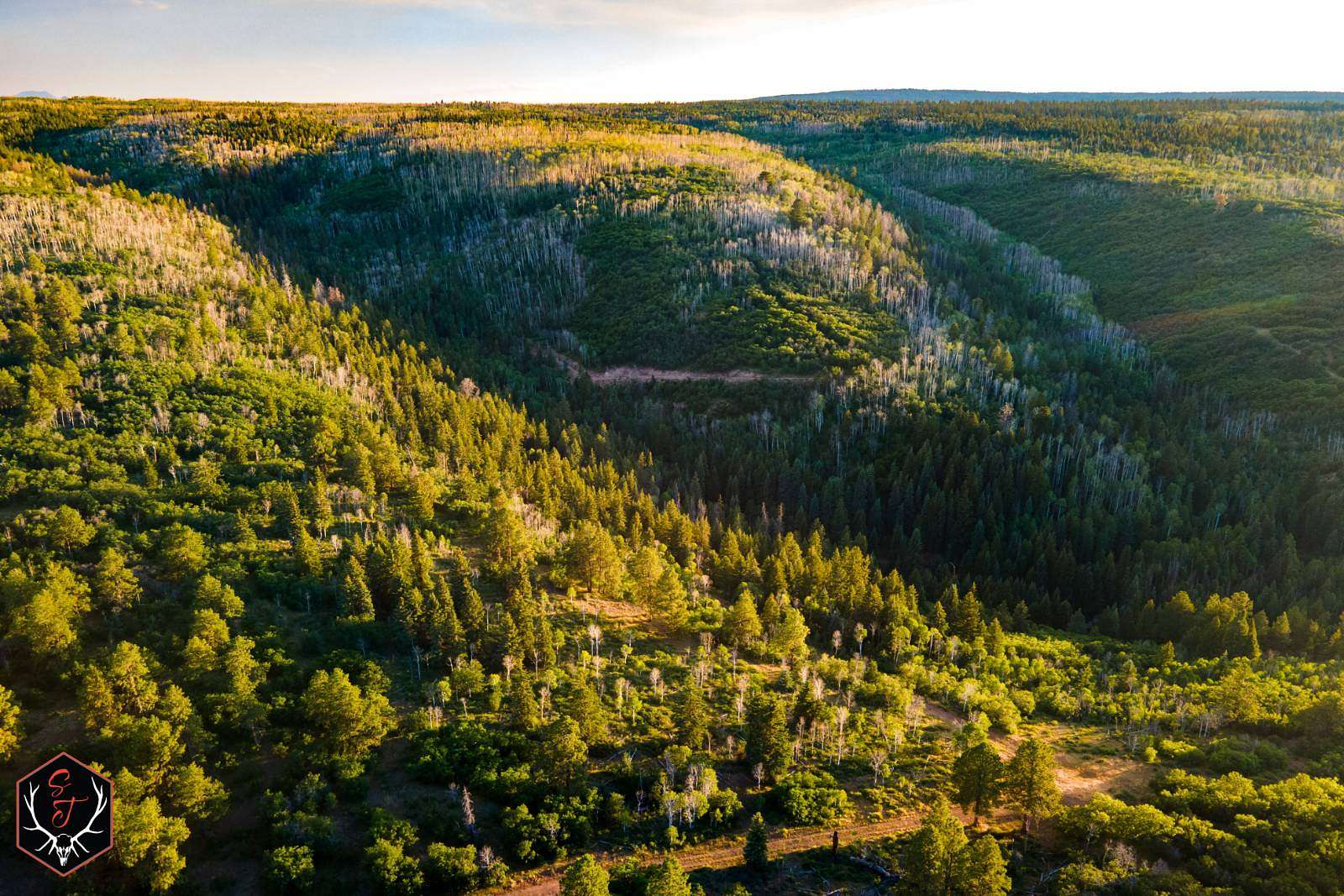 494 Acres of Recreational & Residential Land for Sale in Montrose, Colorado