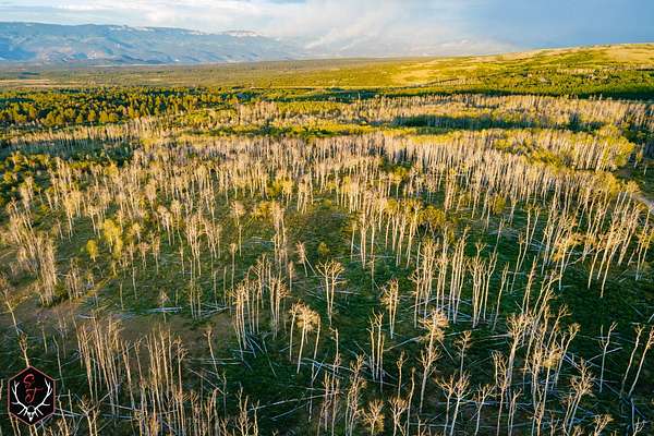 177 Acres of Recreational & Residential Land for Sale in Montrose, Colorado