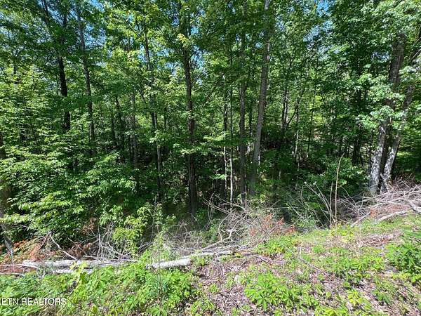 0.32 Acres of Residential Land for Sale in Sevierville, Tennessee