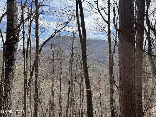 0.37 Acres of Residential Land for Sale in Sevierville, Tennessee