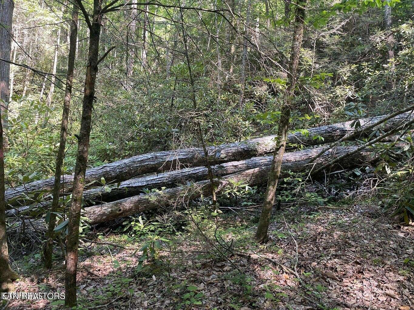 0.28 Acres of Residential Land for Sale in Sevierville, Tennessee