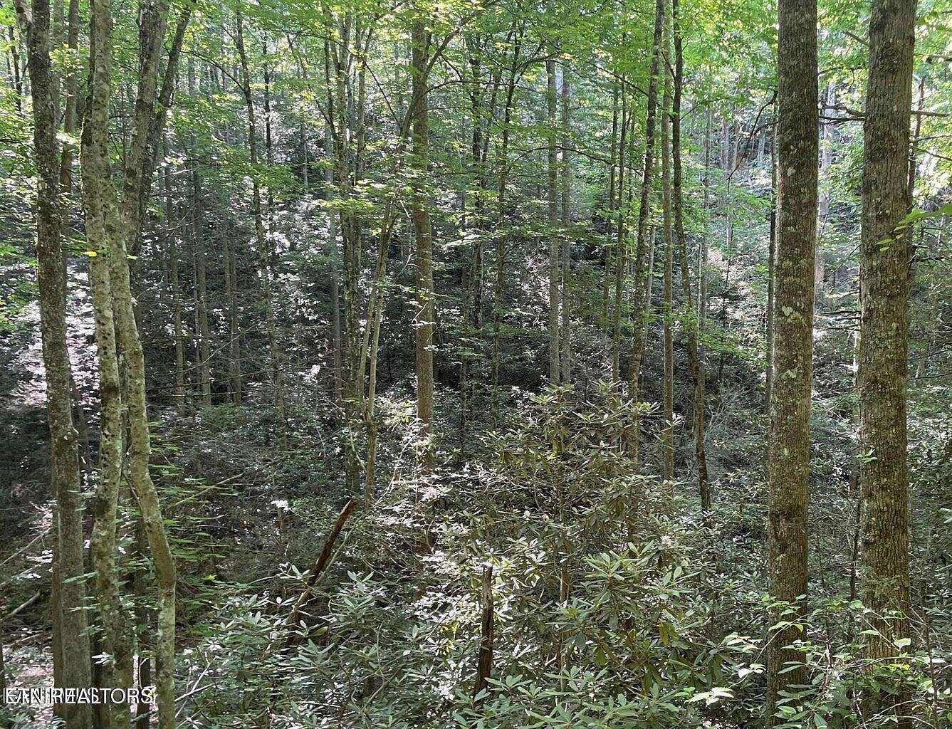 0.49 Acres of Residential Land for Sale in Sevierville, Tennessee