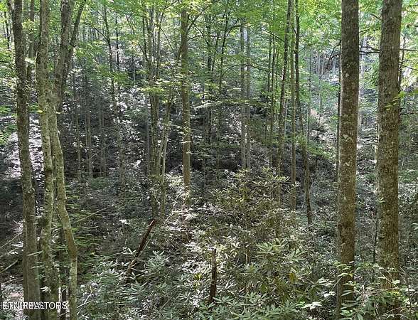 0.49 Acres of Residential Land for Sale in Sevierville, Tennessee