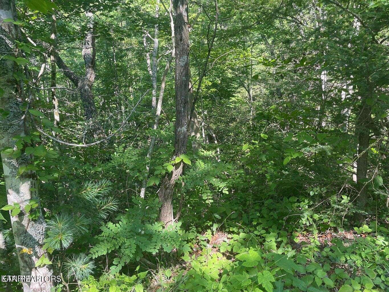 0.31 Acres of Residential Land for Sale in Sevierville, Tennessee