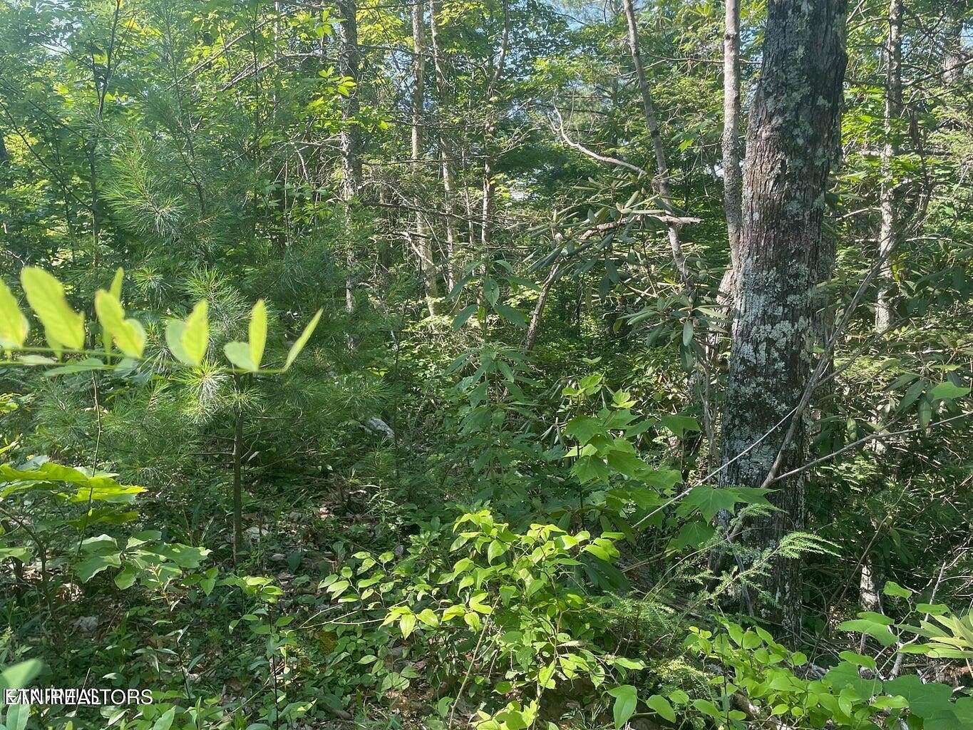 0.44 Acres of Residential Land for Sale in Sevierville, Tennessee
