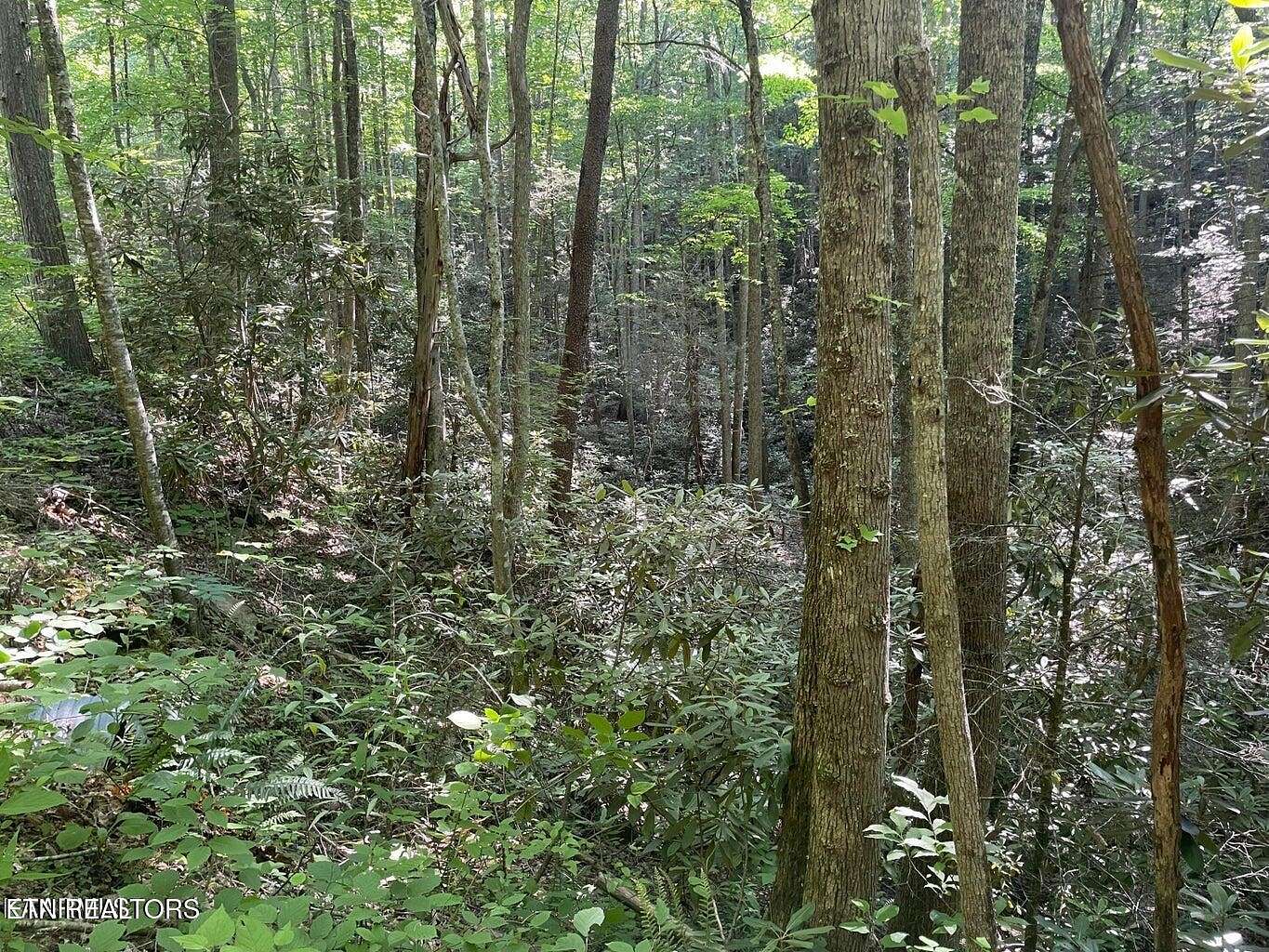 0.37 Acres of Residential Land for Sale in Sevierville, Tennessee
