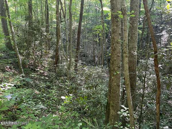 0.37 Acres of Residential Land for Sale in Sevierville, Tennessee