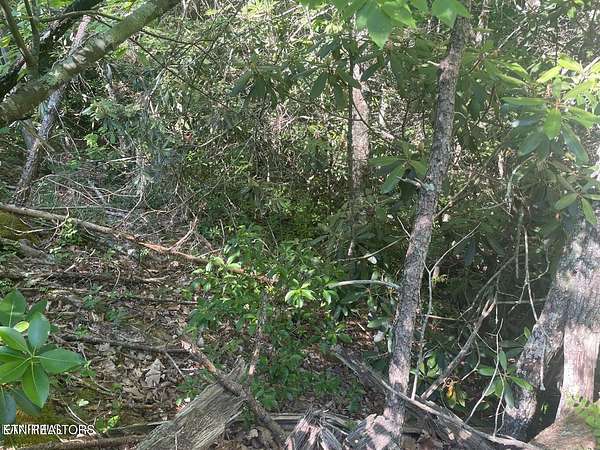 0.32 Acres of Residential Land for Sale in Sevierville, Tennessee