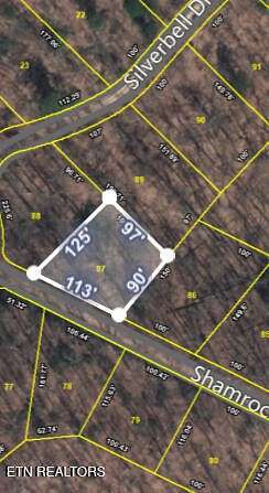 0.25 Acres of Residential Land for Sale in Sevierville, Tennessee