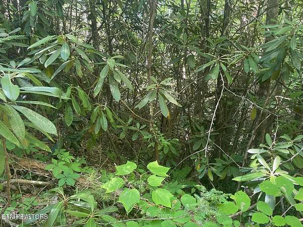 0.49 Acres of Residential Land for Sale in Sevierville, Tennessee