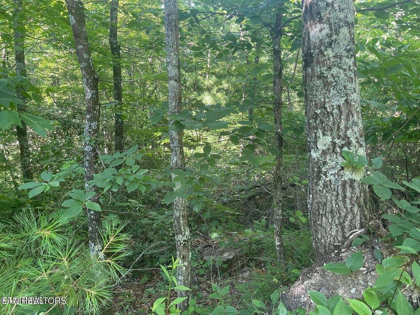 0.29 Acres of Residential Land for Sale in Sevierville, Tennessee