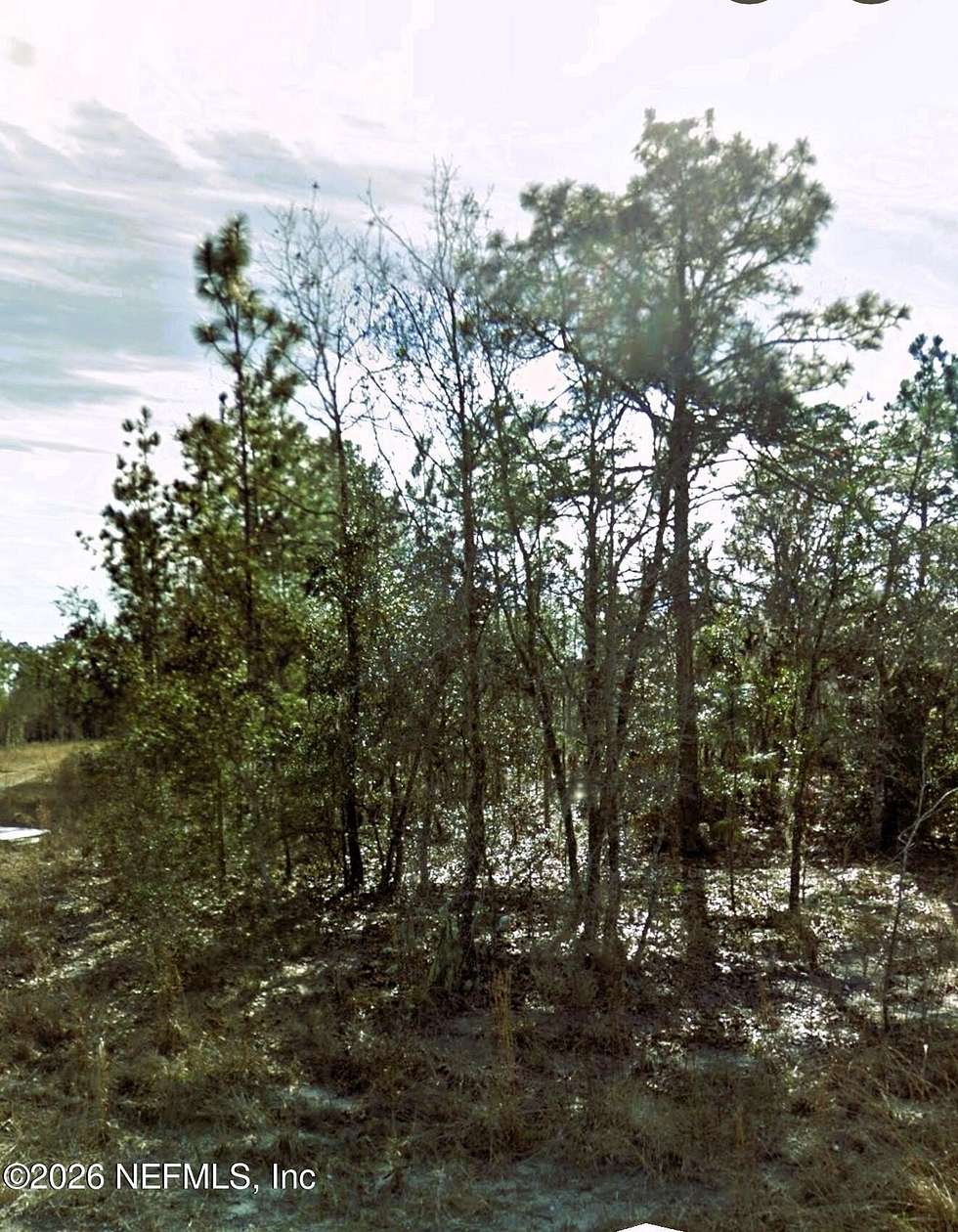 0.23 Acres of Residential Land for Sale in Williston, Florida
