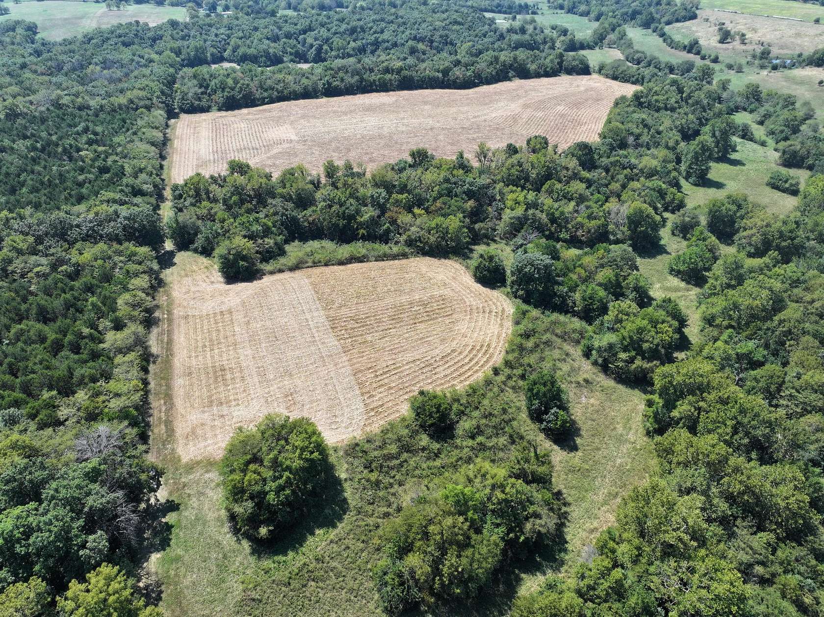 80 Acres of Recreational Land for Sale in Morrisville, Missouri