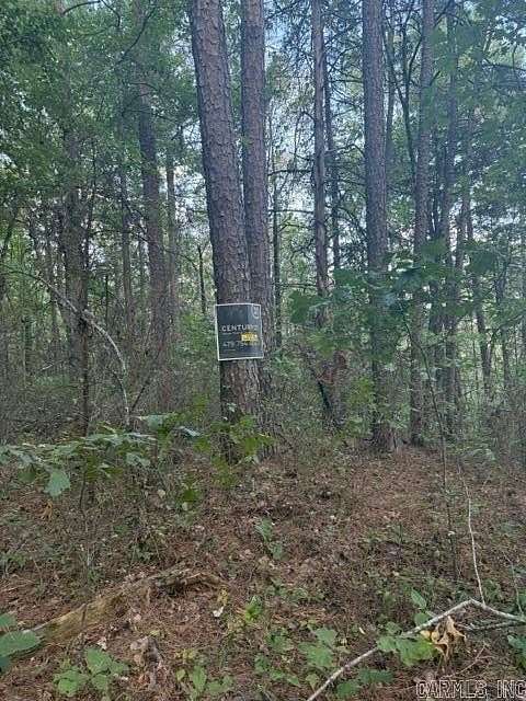 40 Acres of Recreational Land for Sale in Ozone, Arkansas