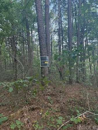 40 Acres of Recreational Land for Sale in Ozone, Arkansas