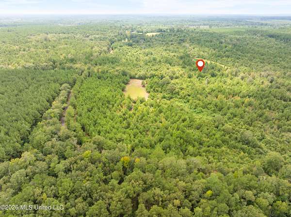 10 Acres of Recreational Land for Sale in Magnolia, Mississippi