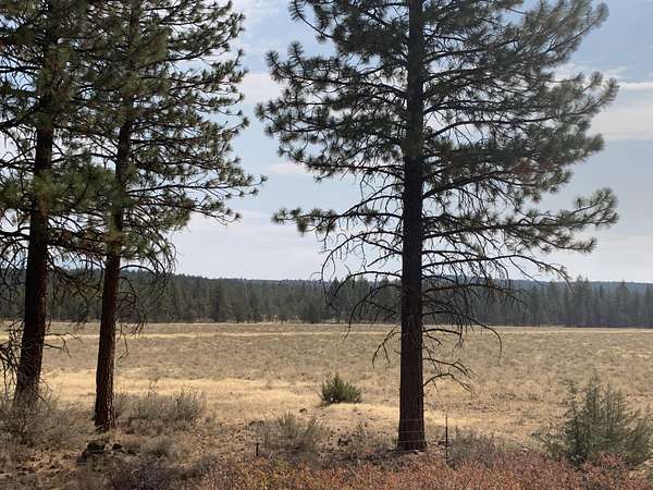 168 Acres of Recreational Land for Sale in McArthur, California