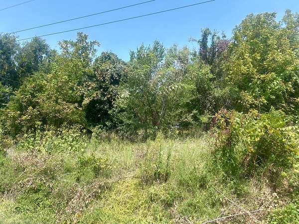 0.41 Acres of Residential Land for Sale in Ava, Missouri