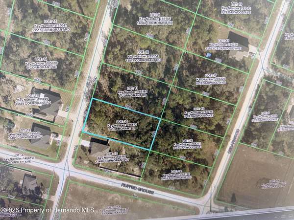 0.5 Acres of Land for Sale in Weeki Wachee, Florida
