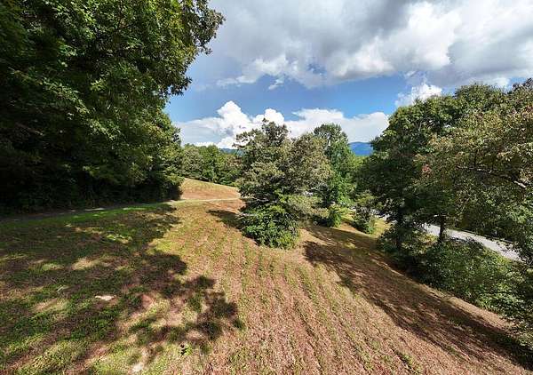6 Acres of Mixed-Use Land for Sale in Hayesville, North Carolina