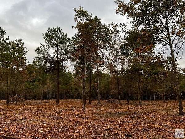 11.8 Acres of Land for Sale in Texarkana, Arkansas