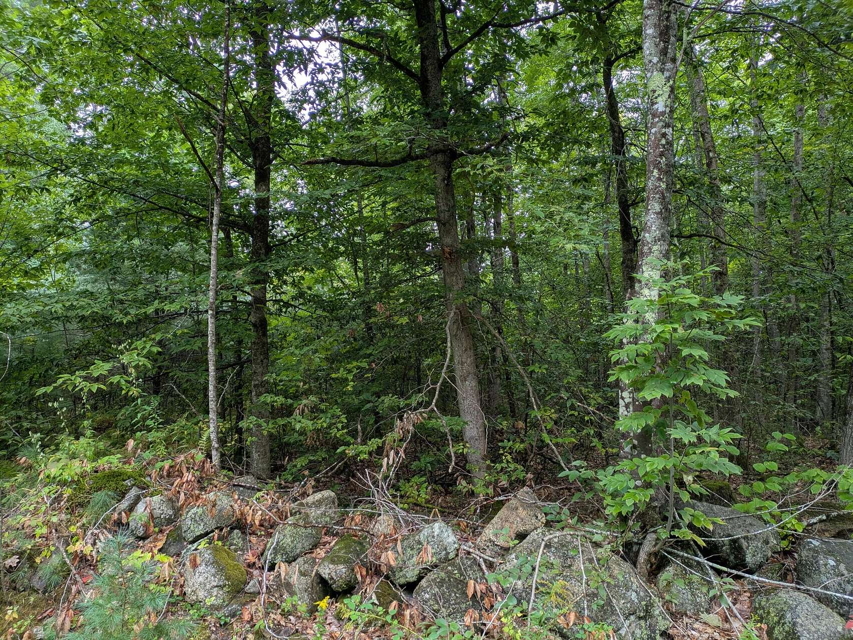 0.41 Acres of Residential Land for Sale in Limerick, Maine