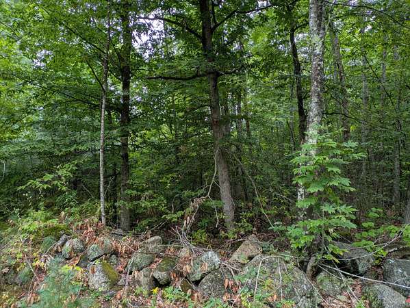 0.41 Acres of Residential Land for Sale in Limerick, Maine