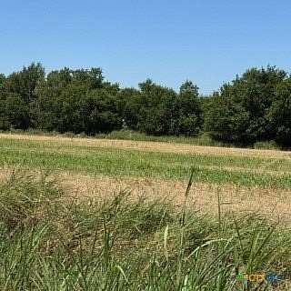 16 Acres of Land for Sale in Holland, Texas