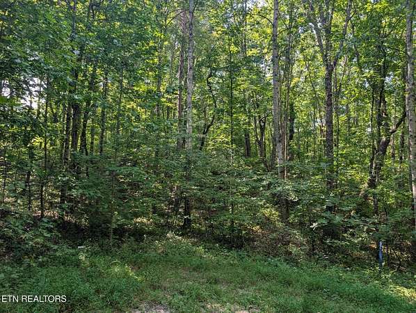 1.3 Acres of Land for Sale in Crossville, Tennessee