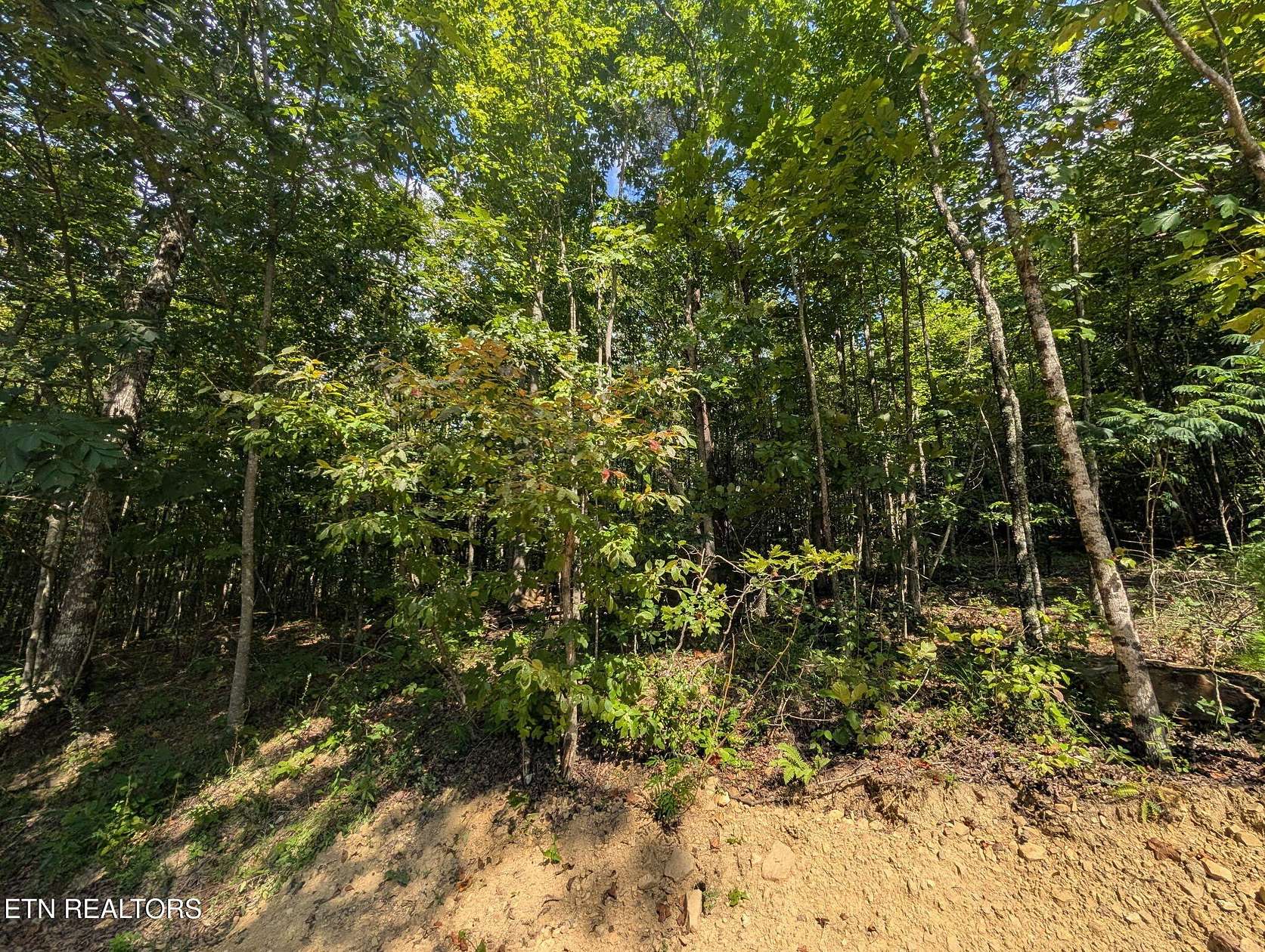 0.51 Acres of Land for Sale in Crossville, Tennessee