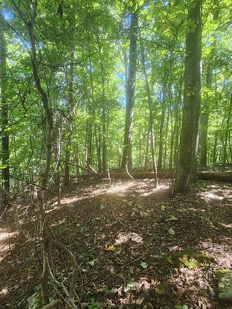 1.19 Acres of Residential Land for Sale in South Pittsburg, Tennessee