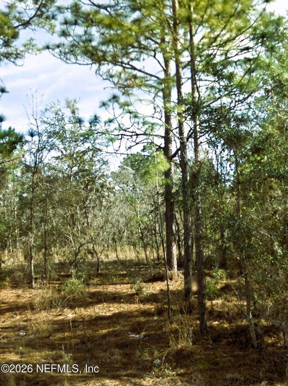 0.23 Acres of Residential Land for Sale in Williston, Florida