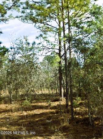 0.23 Acres of Residential Land for Sale in Williston, Florida