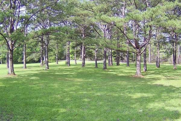 27 Acres of Land for Sale in Carriere, Mississippi