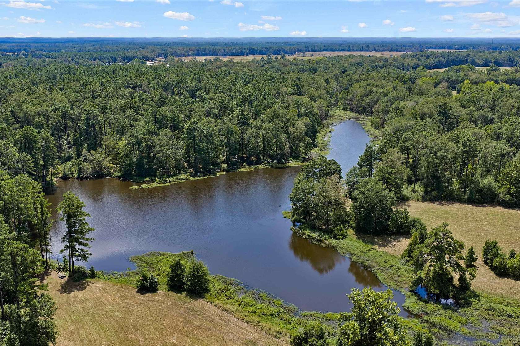 110 Acres of Land for Sale in Carthage, Texas