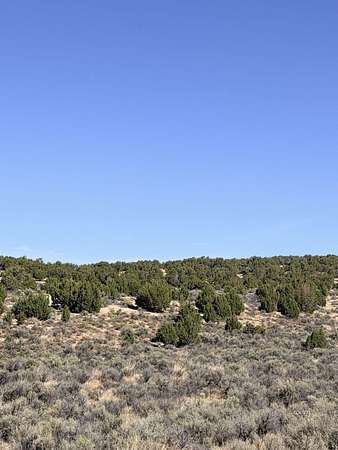 2 Acres of Land for Sale in Spring Creek, Nevada