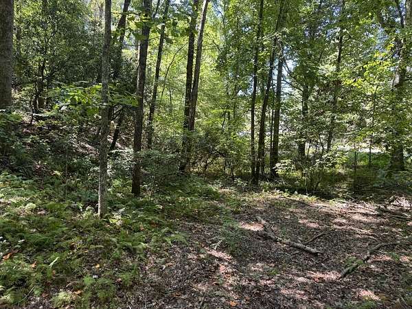 1.54 Acres of Residential Land for Sale in Cherry Log, Georgia