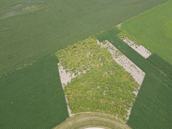 1.48 Acres of Residential Land for Sale in Newark, Illinois