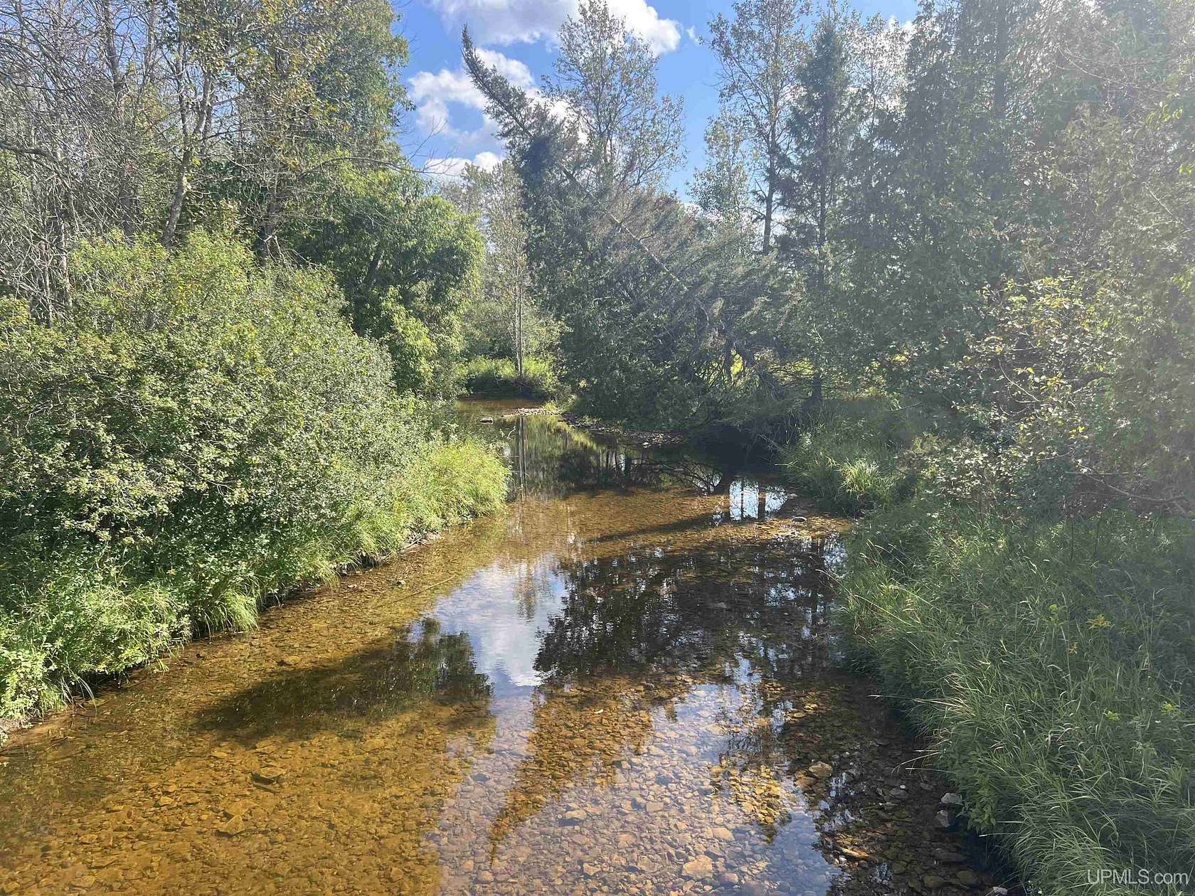 44 Acres of Land for Sale in Bark River, Michigan