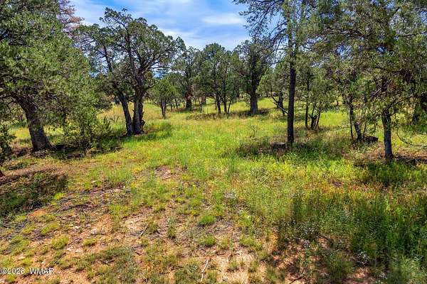 1 Acre of Residential Land for Sale in Overgaard, Arizona