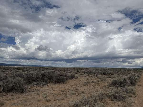 0.5 Acres of Land for Sale in Tres Piedras, New Mexico