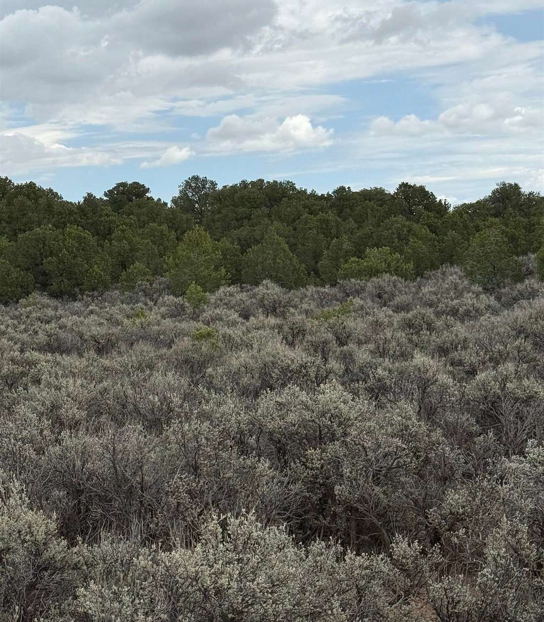 0.25 Acres of Land for Sale in Tres Piedras, New Mexico