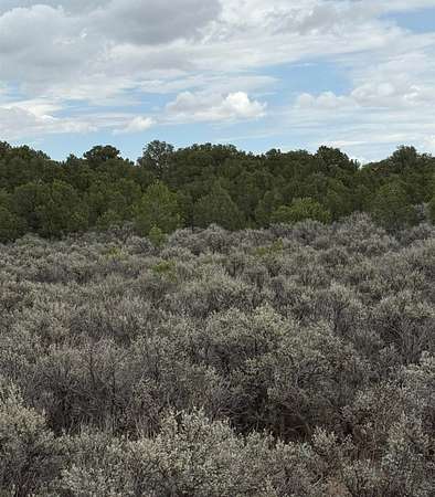 0.25 Acres of Land for Sale in Tres Piedras, New Mexico