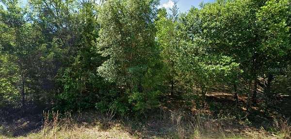 0.24 Acres of Residential Land for Sale in Dunnellon, Florida